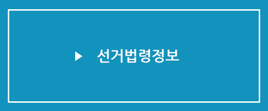 선거법령정보